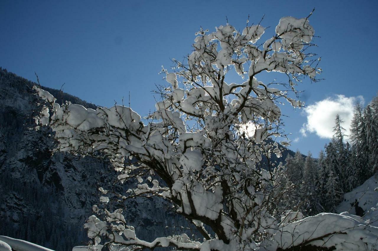 Апартаменти Des Alpes 2 Канацеї Екстер'єр фото